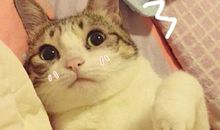 最容易花容失色的星座top5