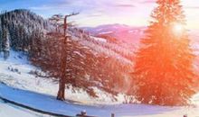 1934和1994年出生的甲戌年生山头火命，守身之狗