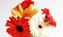 3大生肖2月份意外发横财，今后吃喝不用愁！