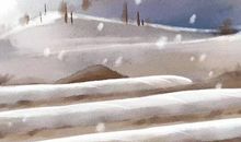 1958年生的62岁生肖狗人2020年运势好吗，凶星入驻、事业受损