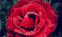 划重点，咋让各血型男乖乖爱上你