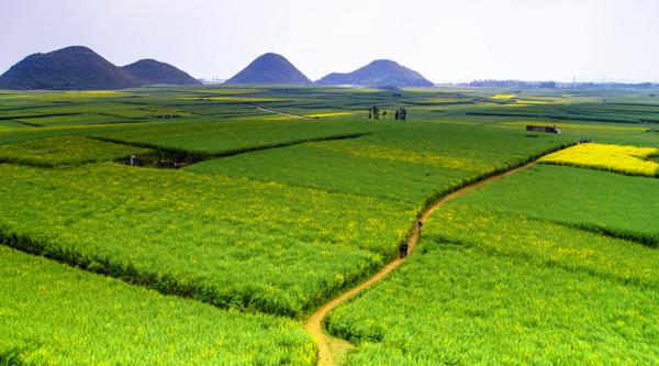 4月下旬，财气冲天，3生肖有贵人领路，日子富足多金