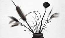 1971年生的49岁生肖猪人2020年运势好吗，苦尽甘来、财运亨通