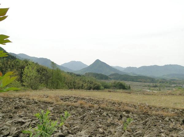 南昌风水大师：王君植江西寻龙点穴龙吐珠风水宝地，风水培训学习好案例 6