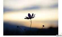 租房风水有哪些忌讳？