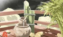 晚年好命的女生肖女 马狗龙虎