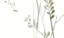 2020年出生的男孩取名，起名结合亥子丑三会，三会的力量大