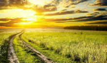 辰时出生的属宝宝，鼠人生于辰时难始终如一