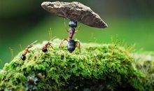 未来7日后，腰缠万贯的5生肖，福气满堂，福及三代人，家有金银满仓