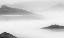 秦阳明解析2020年生肖狗桃花运，感情运势节节攀升，爱情开花结果