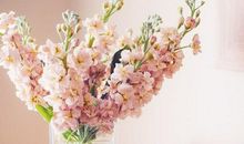 恋爱中，醋坛子容易打翻的星座男有哪些?