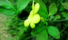 坏事不近身，财运一级棒的生肖，11月23号起大奖大财接不赢