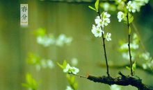 春分节气出生的属兔人命运好不好 是什么命？(图文)