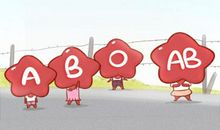 完美血型是B型还是O型 谁厉害