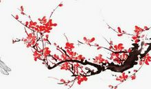 2020庚子年农历十一月初五出生的男孩起什么名字寓意好，五行属什么