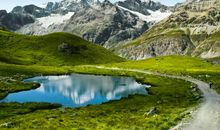 属鼠的卯时出生的女孩命好吗，性格随和桃花运好