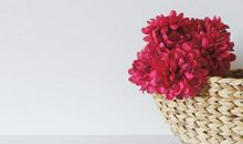 这些星座总会迁就你，像是没脾气一样