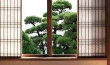 窗户的风水布置可以招财旺运