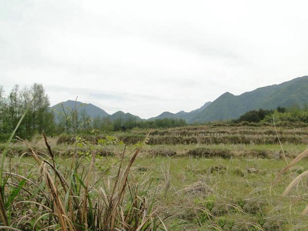 南昌风水大师：王君植江西寻龙点穴龙吐珠风水宝地，风水培训学习好案例 5