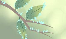 测你在爱人眼里有多美好