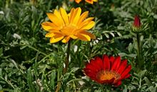 3月份里接好运，迎鸿福！财源滚滚横财大发，万事顺遂3生肖