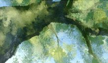 测2020年阻碍你事业发展的因素