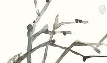 2020年正月出生的女宝宝取名，宜用申子辰三合的字形