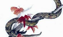 属蛇正月初一春节出生的人是什么命？属蛇春节出生好不好？(图文)