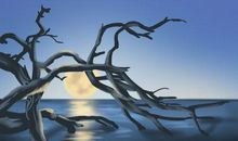 测试智商的测试题10题 有胆你就来