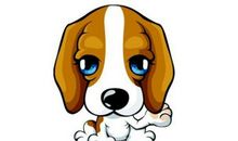 各个年份出生的属狗人2020年运势(图文)