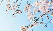 在恋爱中，容易一见钟情的3个星座，邂逅美好爱情