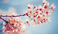 35岁前负债不少，35岁后大运来临，有好几笔横财的三大生肖