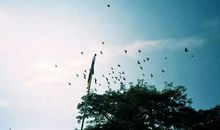 原创 你的脸，藏着你一生的风水（不是迷信）