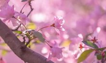 明天起，3生肖财源滚滚，运势红透半边天，4月喜事成双找上门，大富大贵躲不掉