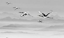 农历2020鼠年正月初十出生的男孩命好吗，要怎么起名