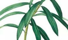 免费周易八字在线算命,八字预测婚姻