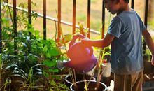 如何给男孩起带瑾字的名字