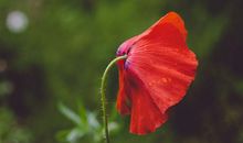 天蝎座变心之前都有哪些异常？