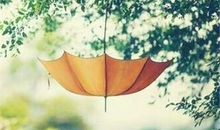 2019年啥颜色能助12生肖提升运气