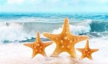 下个月，好运连连，机遇满满的3大生肖