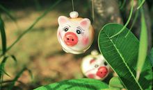 生肖猪与什么属相不合