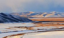 宋韶光解析2020年生肖虎财运，流年内财运波动较大，偏财运可喜