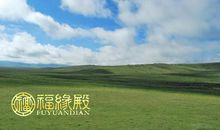 这几大生肖容易娶到旺夫运强的女人