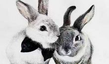 让人心疼的4个生肖女，一辈子不缺钱，但就是过得不幸福