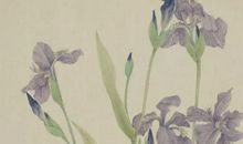 2020年农历三月十四出生的女孩是命运如何，起什么名字好听