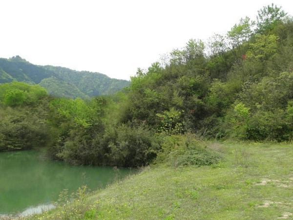 南昌风水大师：王君植江西寻龙点穴龙吐珠风水宝地，风水培训学习好案例 3