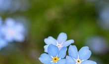 运势一帆风顺，未来5年能赚得口袋满满的生肖，以后生活富贵无忧