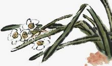 2020年农历十一月二十三出生的女孩起什么名字好，五行属什么