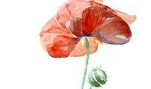 2020年3月8号出生的女孩怎么样取名字，结合古诗词起名