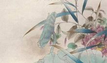 1986年生的34岁生肖虎人2020年运势好吗，升职加薪，注意健康